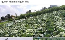 Lê Dương Bảo Lâm giải cứu 5 tấn nông sản cho người dân Hải Dương