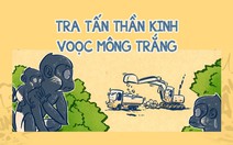 Voọc mông trắng sống trong rừng cũng chịu cảnh ô nhiễm tiếng ồn