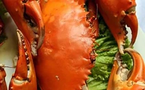 Những đối tượng cần 'bảo trọng' trước khi xơi cua, ghẹ