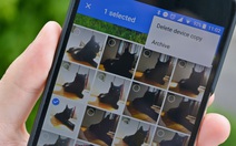 Google Photos có thể nhận diện thú cưng của bạn