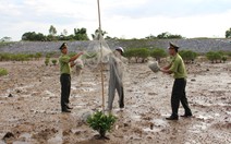 Tăng cường bảo vệ các loài chim di cư, bảo vệ đa dạng sinh học