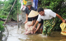 Nước sông Lam dâng nhanh, dân hối hả chạy lụt