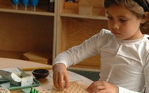 Khóa nhập môn phương pháp giáo dục Montessori (AMI)