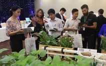 Đưa 6 startup Việt ra thế giới trong năm 2018