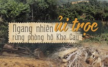 'Cạo trọc' rừng phòng hộ bằng xe ủi