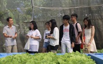 Lớp 11 học gì về kinh tế?
