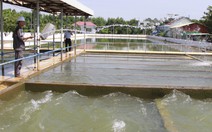 Bộ TN-MT khẳng định đủ nước để 'giải khát' Đà Nẵng