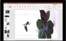 Microsoft bổ sung tính năng mới cho PowerPoint và Word trong tháng 11