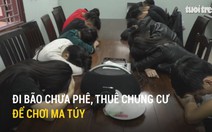 Đi bão chưa phê, thuê chung cư để chơi ma túy