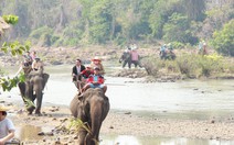 Đề nghị xây đập dâng để cứu vãn du lịch Buôn Đôn