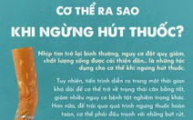 Khi bạn ngừng hút thuốc, sự 'hồi sinh' sẽ thế nào?