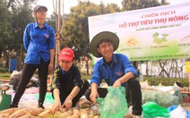 Giá 'giải cứu' khoai tây: 12.000 đồng/kg, su hào: 3.000, củ cải: 4.500