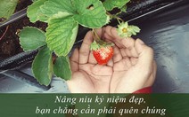 Đi qua chuyện tình đúng người, sai thời điểm