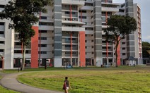 Chung cư HDB Singapore: 'Thảm họa' cho chủ hộ nếu mèo... chui vô nhà