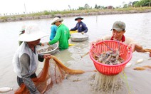 Tăng gấp đôi thu nhập cho nông dân: bằng cách nào?