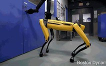 ‘Choáng’ trước hình ảnh robot đi bộ, leo bậc thang thành thạo