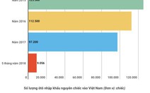 Lượng ôtô nguyên chiếc nhập về Việt Nam tụt dốc không phanh