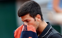 Cecchinato loại Djokovic ở tứ kết Roland Garros