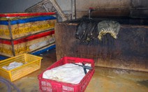 Bắt quả tang cơ sở ngâm hóa chất tẩy trắng hàng trăm ký nội tạng bò