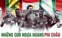 World Cup 2018 mong chờ gì từ những con ngựa hoang Phi châu