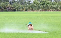 Cả trăm ngàn tấn thuốc bảo vệ thực vật đổ xuống ruộng đồng mỗi năm