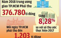 Giữa năm 2018, Tổng cục Thuế ‘lo’ ngân sách 2019