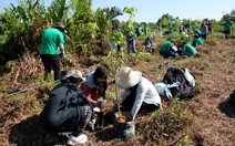 Diễn đàn ASEP 2018: Bài học từ rừng nhiệt đới