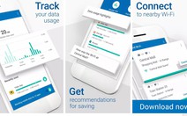 Ứng dụng quản lý dữ liệu mạng Google Datally đã có tiếng Việt