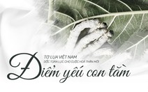 Tơ lụa Việt Nam: Lỗi tại con tằm?