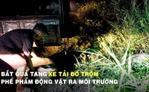 Bắt quả tang xe tải đổ trộm hơn 6 tấn phế phẩm động vật ra môi trường