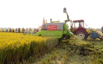 Máy gặt đập không người lái sẽ thay thế nông dân?