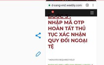 Gần tết, tội phạm tung chiêu lừa nhắm vào người bán hàng online