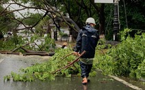 'Văn bản khẩn' Đà Nẵng cho học sinh nghỉ học do mưa bão là giả