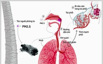 Tác hại khôn lường từ ô nhiễm không khí đến sức khỏe