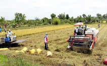 'Vựa lúa lớn nhất, cá tôm nhiều nhất nhưng hạ tầng, nhà cửa tệ nhất'