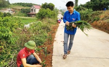 'Đến từng ngõ, gõ từng nhà' tuyên truyền phân loại xử lý rác thải