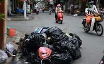 WWF: 30% hộ gia đình ở Việt Nam đã phân loại rác, hộ kinh doanh làm ngơ