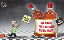 Kiến tạo và tiêu chuẩn nước mắm