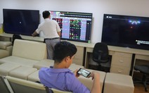 Tập đoàn Hoa Sen giải thể thêm 172 chi nhánh