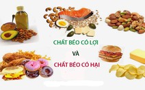 Có các loại chất béo nào?