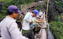 Di sản văn hóa thật mong manh làm sao!