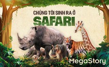 Chúng tôi sinh ra ở Safari