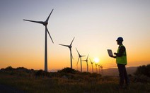 Ông Trump công kích điện gió, tuyên bố turbine gió có thể gây ung thư