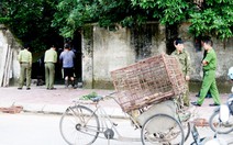 Lãnh đạo Cục Thú y: 'Chưa có ai bị xử phạt vì thả rông chó'