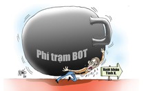 Hỏi ra mới biết BOT ăn hết rồi