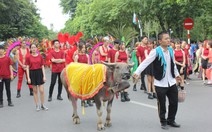 Ngộ nghĩnh trâu mặc hoàng bào dạo phố ở Hà Nội