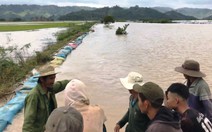 Đê Quảng Điền vỡ, đe dọa hàng ngàn hecta lúa sắp thu hoạch