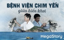 Bệnh viện chim yến giữa biển khơi