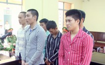 Băng cướp gà, đánh công an xã, lãnh hơn 35 năm tù