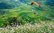 'Bay trên mùa vàng 2019' - Festival dù lượn được mong chờ sắp diễn ra